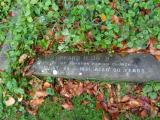 image of grave number 957888